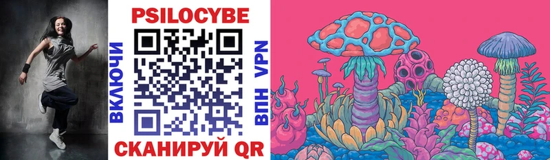 Галлюциногенные грибы MAGIC MUSHROOMS  кракен как зайти  Починок  купить наркотик 